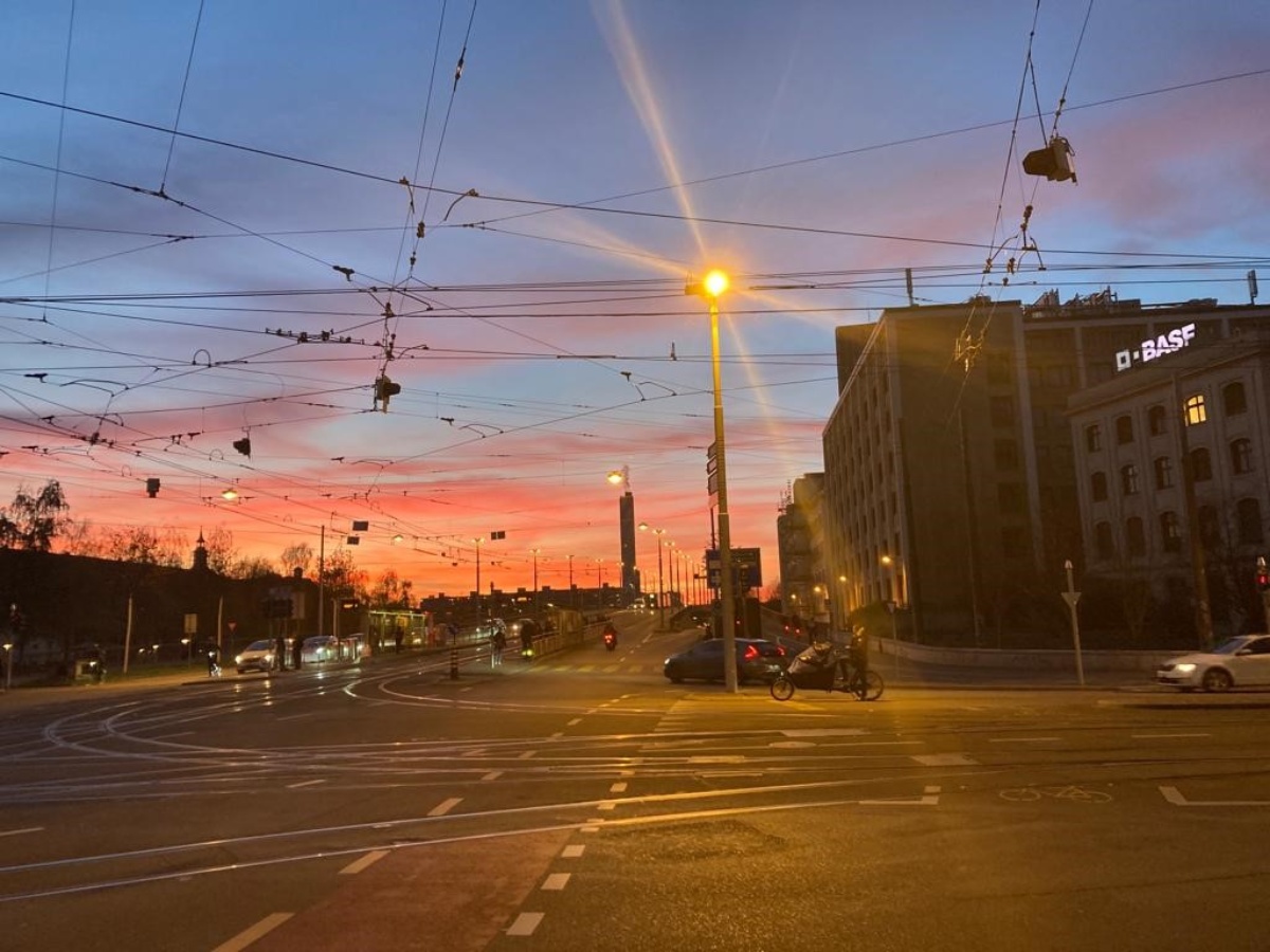 Bild-Fotowettbewerbn.jpg